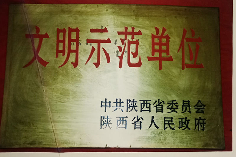 10、省級-陜西省文明示范單位.jpg